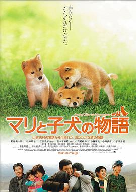 爱犬的奇迹HD中字