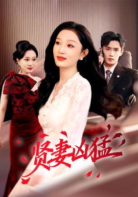 贤妻凶猛(全集)