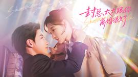 封总，太太跟你离婚很久了(全集)